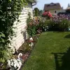 Richard Porter - @richard.porter16 - TikTok