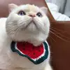 richardporter148 - @richardporter148 - TikTok