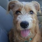 Richard Postell - @richard.postell - Instagram