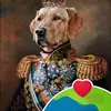 Richard Postma - @richard.postma - TikTok