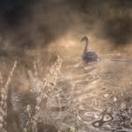 Richard Potter - @richardpotterphotography - Instagram