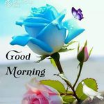 Prasad Richard - @prasad.richard.1 - Instagram