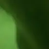 richardprasad8 - @richardprasad8 - TikTok
