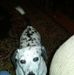 Richard Presnell - Facebook