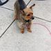 Richard Priem - Facebook