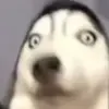 richardpuga652 - @richardpuga652 - TikTok