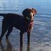 Richard Purvis - Facebook