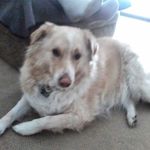 Richard  Quinton - @rick_quick_330 - Instagram