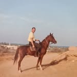 Richard Strauß - @richardradelt - Instagram