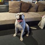 Richard Radich - @richardradich - Instagram