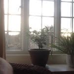 Richard Rae - @richard3145 - Instagram