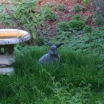 Richard Rahner Rahmun - @richardrahmun - Instagram