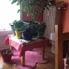 richardrang - @richardrang - TikTok