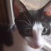 Richard Ratzak - Facebook