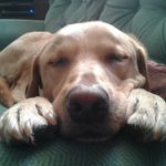 Richard Rawson - @richard.rawson.129 - Instagram