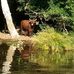 Richard Rawson - Facebook