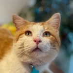 Richard - @regularly_scheduled_richard - Instagram