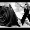 richardaregula - @richardaregula - TikTok