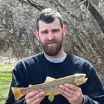 Richard Remillard - @remillard64632024 - Instagram