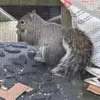richardremillard79 - @richardremillard79 - TikTok