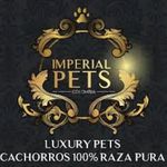 Richard Rendon - @criadero_imperialpets - Instagram