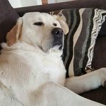 Richard Rhoades - @rprhoades - Instagram