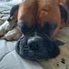 richardrigdon967 - @richardrigdon967 - TikTok