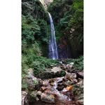 Richard Rinkel - @rinkelrichard - Instagram