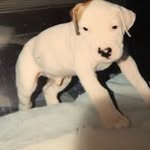 Richard Rinkenberger - @richardrinkenberger - Instagram