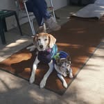 Richard Rinker - @richard.rinker.1 - Instagram