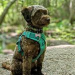 Richard Rioux - @rioux738 - Instagram