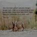 Ricard Rison - Facebook
