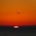 Richard Rison - Facebook