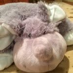 Richard🐘 - @richard_rocks_ - Instagram
