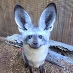 Richard Rodda - @bear.4626577 - Instagram