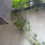 Richard Jerry Rodrick - @richardjerryrodrick - Instagram