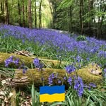 Richard Ronayne - @richardronayne58 - Instagram