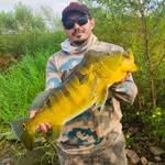 Richard Rone - @richardrone - Instagram