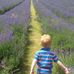Richard Rowden - Facebook