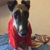 rRichard_Royall - @wirtyyq - TikTok