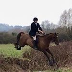 Richard Royle - @richard.royle.3 - Instagram