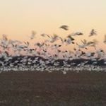 Richard Ruark - @reruark - Instagram