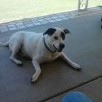 Richard Rushing - @rushing.richard - Instagram