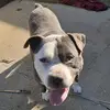 richardsaechao227 - @richardsaechao227 - TikTok