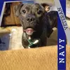 Richard Sage - @richard.sage - TikTok