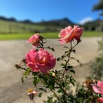 @richard_sampleaddaccount - Instagram