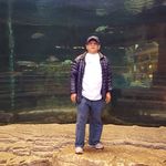 Richard Sang - @richardsang1955 - Instagram