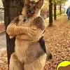 Richard Sang - @richard.sang - TikTok