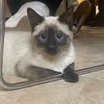 Richard Ramirez - @richard_saurs - Instagram