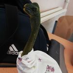 richard~ps~saur - @richardpssaur - Instagram
